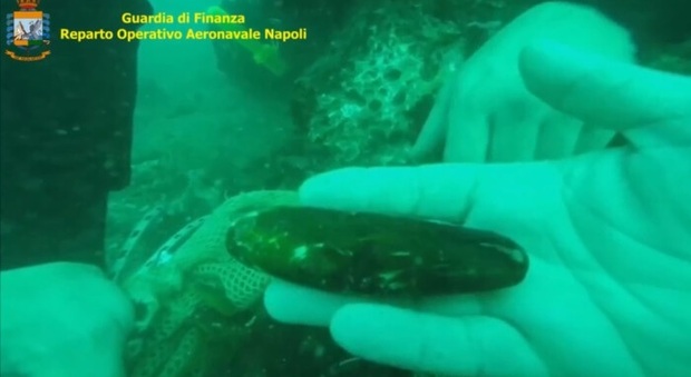 Esplosivi e martello pneumatico: così i pescatori di datteri distruggono i Faraglioni di Capri