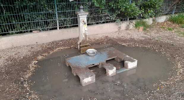 Parco Tor di Quinto, è emergenza: la mancata manutenzione (anche alle fontanelle) mette in pericolo i cani