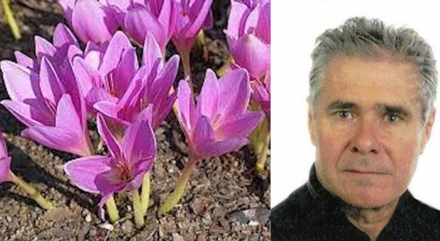 Il 62enne Valerio Pinzana e il fiore incriminato