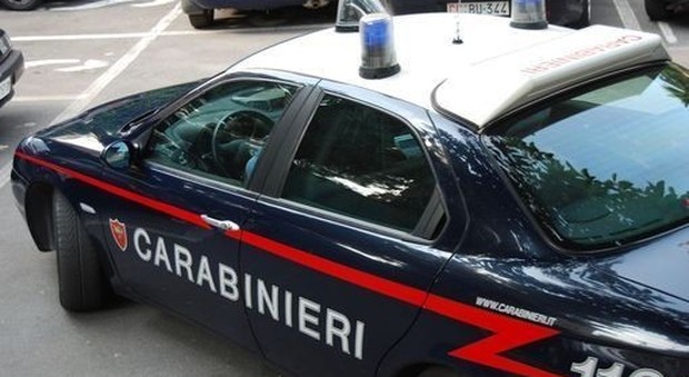 Frosinone, controlli antidroga in un parco a Cassino: denuncia e sequestro