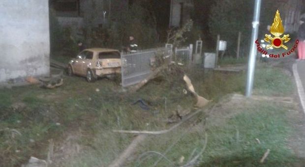 Auto impazzita contro un albero e due pali: il conducente scompare