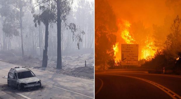 Portogallo, in fiamme i boschi della foresta di Pedrógão Grande: almeno 61 morti