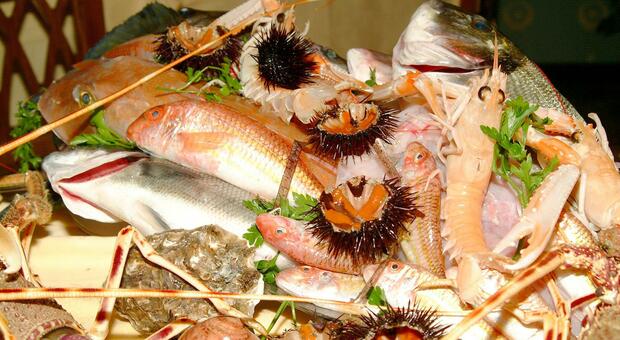 Pesce e frutti di mare crudi, nel 2023 controllati 40 pescherecci e 60 ristoranti a Brindisi