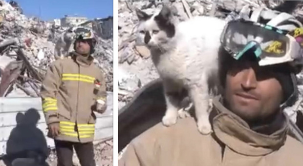 Terremoto in Turchia, vigile del fuoco salva un gatto e lui si rifiuta di lasciarlo: la storia di Enkaz commuove il web