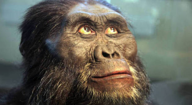Etiopia, scoperto un “cugino” di Lucy: l'ominide morì 3,5 milioni di anni fa