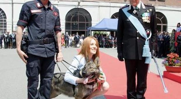 Jecky, cane dei Carabinieri premiato con una medaglia: «Scoprì un tesoro di oltre un milione»