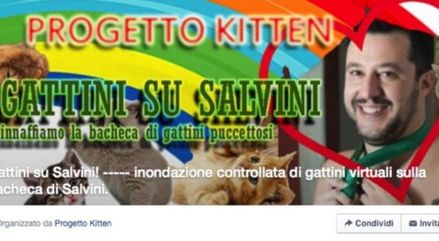 'Gattini per Salvini' la pagina Fb del leghista "invasa" da centinaia di foto di gatti -GUARDA
