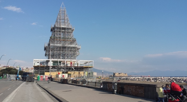 N'Albero saluta il lungomare di Napoli smantellamento fra i selfie dei turisti