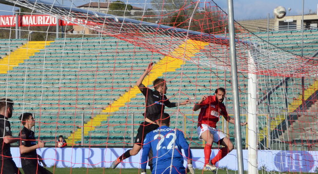 Frediani e Del Sante a segno Incredibile: l'Ancona vince a Parma 2-0