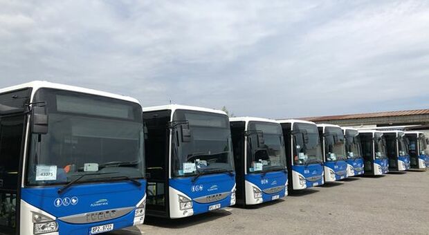 Iveco, oltre 3.000 bus green prodotti a Foggia nei prossimi anni. R&S a Torino