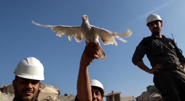 Siria, blitz israeliano: salvati 800 caschi bianchi