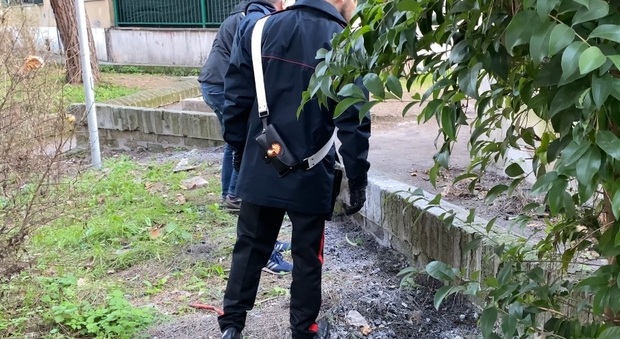 Roma, cocaina nelle siepi del giardino condominiale a San Basilio: in manette uno spacciatore