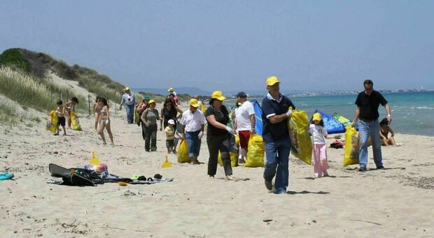 Volontari in azione sulle spiagge di Cerenova
