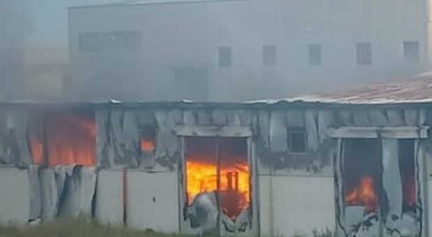 Incendio in un capannone industriale nel Sannio: aria irrespirabile, vigili del fuoco in azione