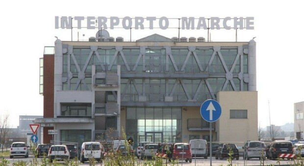 Marco Carpinelli, presidente Interporto Jesi: «Finora nessuna offerta economica era vincolante»