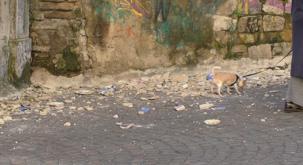 Napoli, Monteoliveto tra crolli e lavori in corso: «I vandali sporcano e gettano rifiuti»