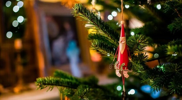 Oggi mercoledì 8 dicembre 2021 Barbanera consiglia: nella festa dell'Immacolata arriva l'albero di Natale