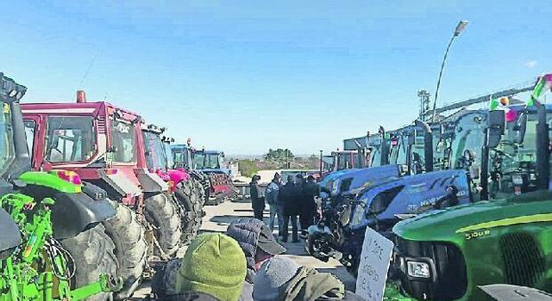 Costi insostenibili e norme «nemiche»: la rivolta dei trattori