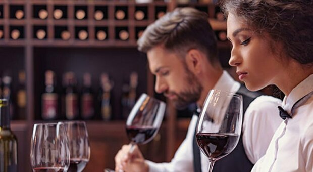 Bibenda 2022, online i vini e le grappe che si sono aggiudicati i 5 grappoli