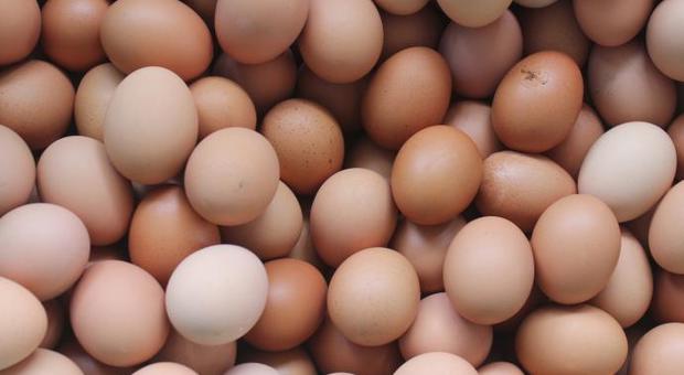 Muore dopo aver mangiato 42 uova: aveva scommesso con un amico che ne avrebbe ingerite 50