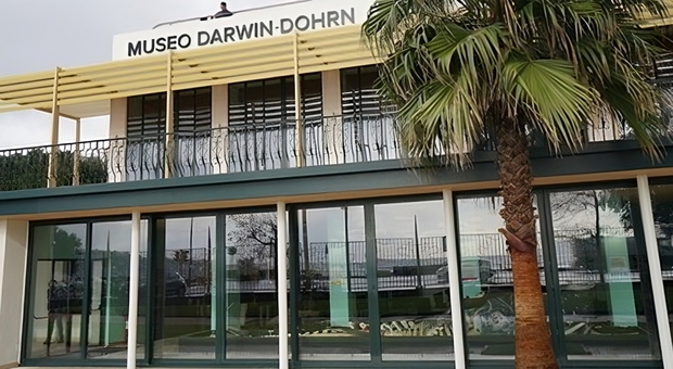 Il museo Darwin Dohrn
