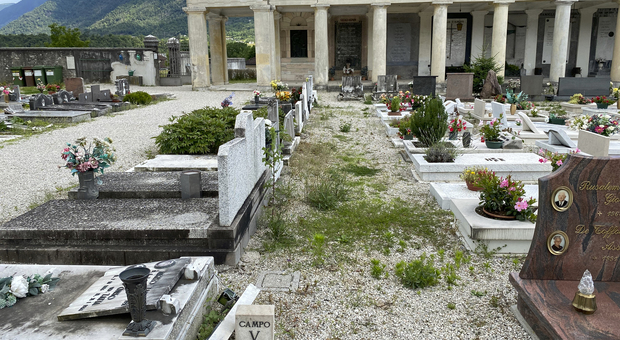 Cimitero abbandonato e tombe coperte da erbacce: «Situazione vergognosa, il Comune intervenga»