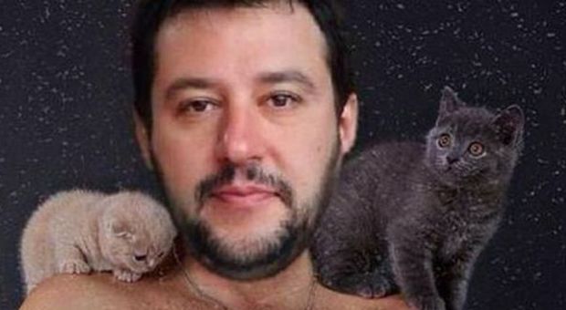 Gattini per Salvini, la pagina Facebook del leader leghista invasa dalle foto di felini