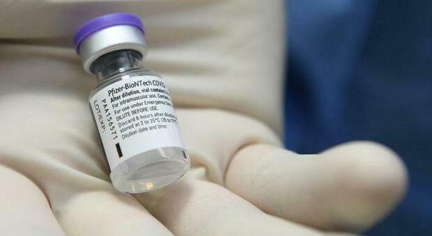 Vaccino, i primi dati Pfizer sulla terza dose: «Anticorpi più altri anche contro la variante Delta»