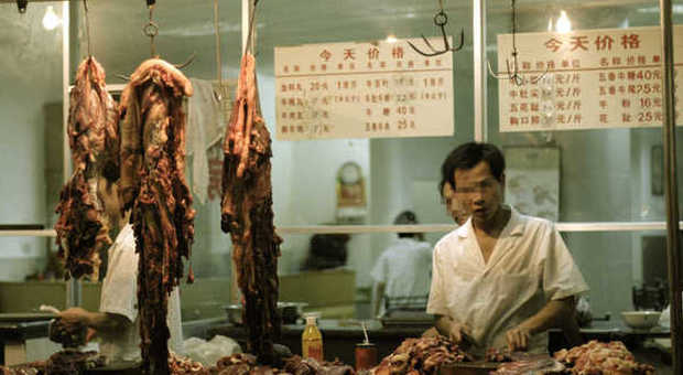 Cina. Sequestrata carne congelata da quarant'anni: valore oltre 400 milioni di euro