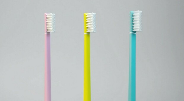 Gli spazzolini da denti di Noventa di Piave si affermano nel mondo: fatturato da un milione di euro