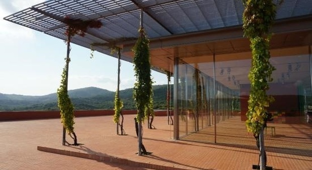 Rocca di Frassinello: Renzo Piano incanta nel cuore della Maremma