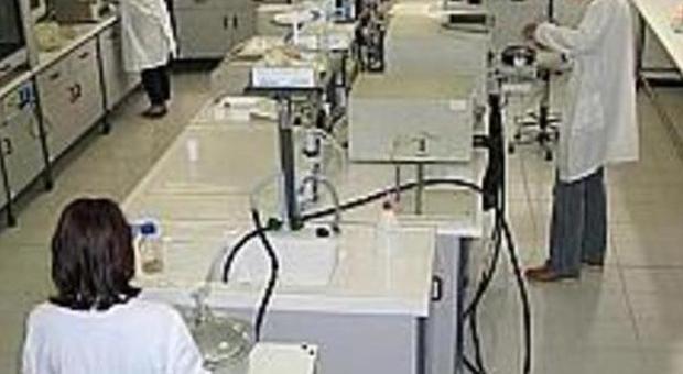 Un laboratorio di Asteria a Monteprandone