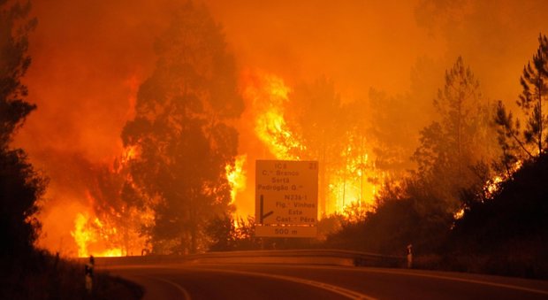 Portogallo, in fiamme i boschi della foresta di Pedrogao Grande: almeno 43 morti