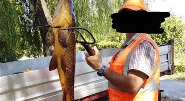 Pesca una carpa col forcone, multato dopo una foto su Facebook