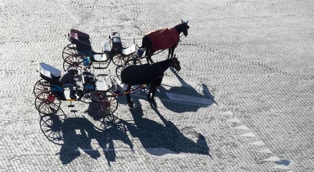 Ronde animaliste per salvaguardare i cavalli delle carrozze a Roma (immagine Ansa)