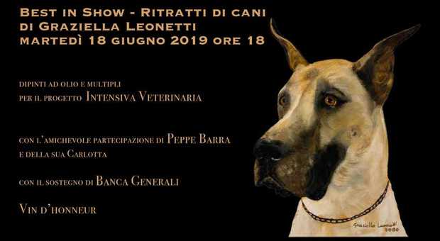 «Best in show- Ritratti di cani», mostra di Graziella Leonetti nella chiesa di San Rocco a Chiaia