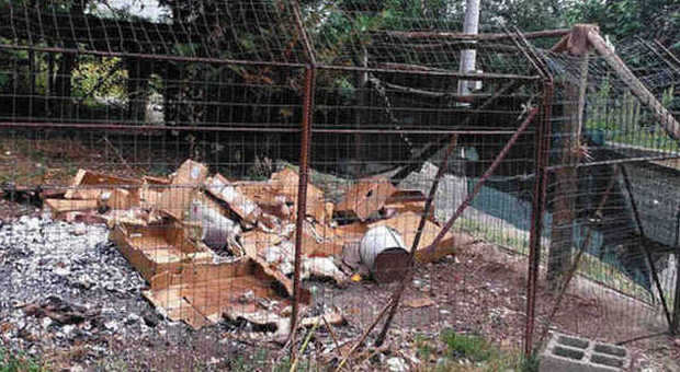 Bruciano carcasse di animali: due denunciati nel Vallo di Diano
