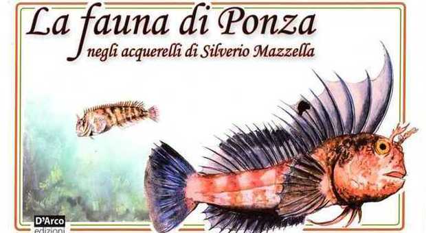Latina, Ponza vista attraverso la fauna. Serata con un libro, acquerelli e musica