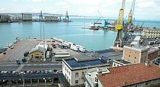 La droga transitiva per il porto di Ancona nascosta in alcuni camper
