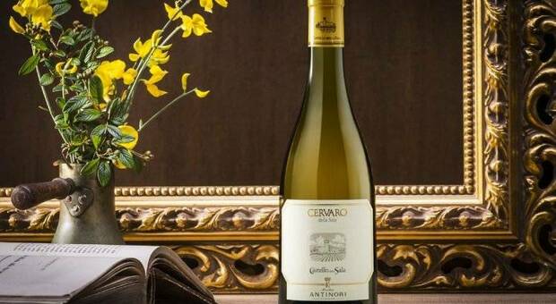 Il Cervaro della Sala Antinori eletto miglior bianco d’Italia nella «Top 100 Italian White Wines for the Summer»