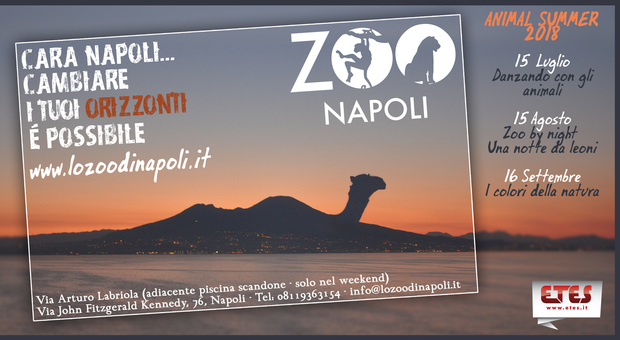 Animal Summer 2018, l'estate speciale allo zoo di Napoli