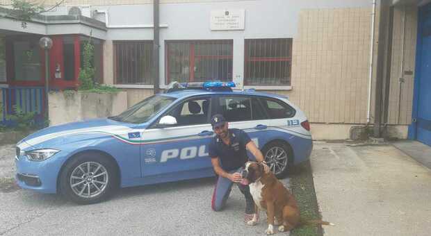 Pescara, a passeggio con il cane per spacciare inosservato: sorpreso e arrestato dalla Polizia