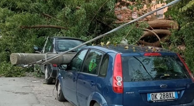 Maltempo a Napoli, crolla albero alla Rotonda Titanic: distrutte due auto e un palo della luce