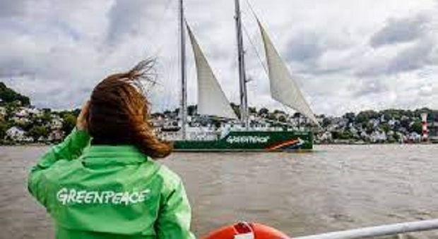 Gli studiosi di Greenpeace a lavoro sul mare
