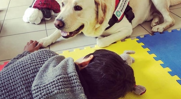 Pet therapy nell'ospedale di Frosinone, i cani Stitch e Cesare al fianco dei bimbi ricoverati