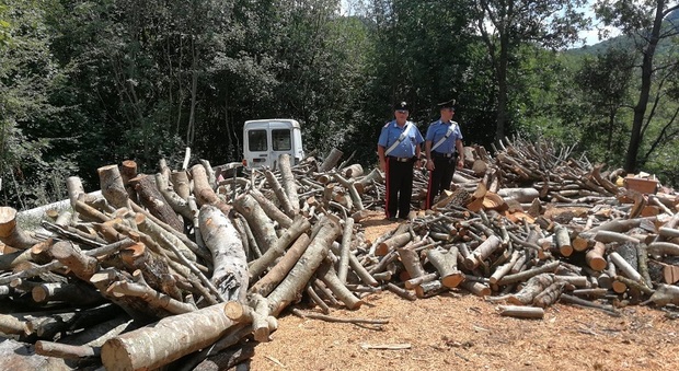 Ruba cento quintali di legna al vicino, denunciato dai carabinieri