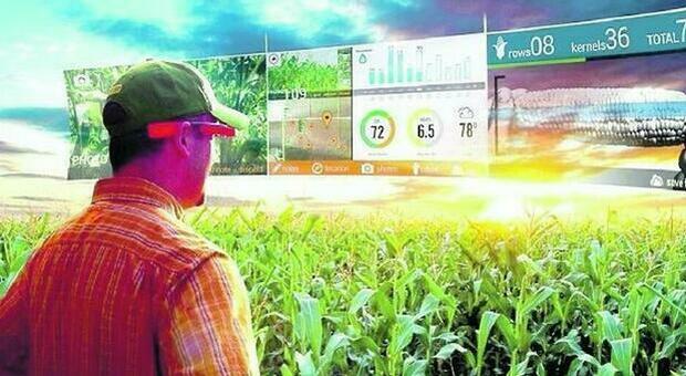 Il 5G trasforma la campagna: boom degli investimenti nell’agricoltura intelligente
