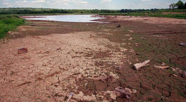 Emergenza siccità, la Campania chiede lo stato di calamità naturale
