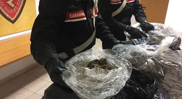 Roma, nascondeva 70 chili di marijuana sotto al materasso: albanese arrestato alla Borghesiana