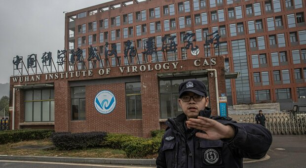 Covid, scienziati malati e pipistrelli spariti tutti i misteri dei laboratori di Wuhan